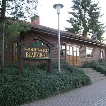 Ferienhaus Nr 32, Typ A, Ferienanlage Blauvogel, Hasselfelde, Harz Exteriör bild