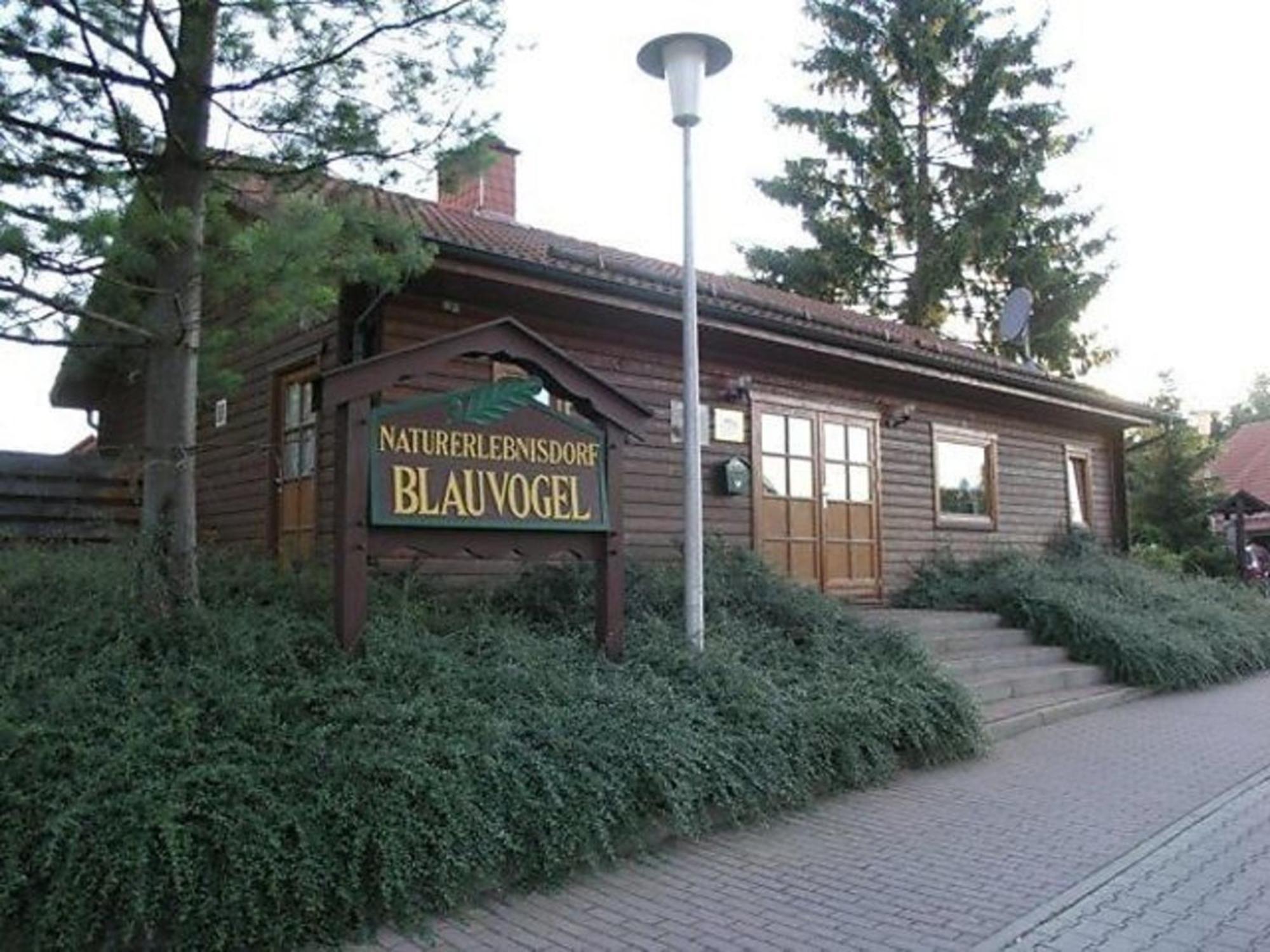 Ferienhaus Nr 32, Typ A, Ferienanlage Blauvogel, Hasselfelde, Harz Exteriör bild