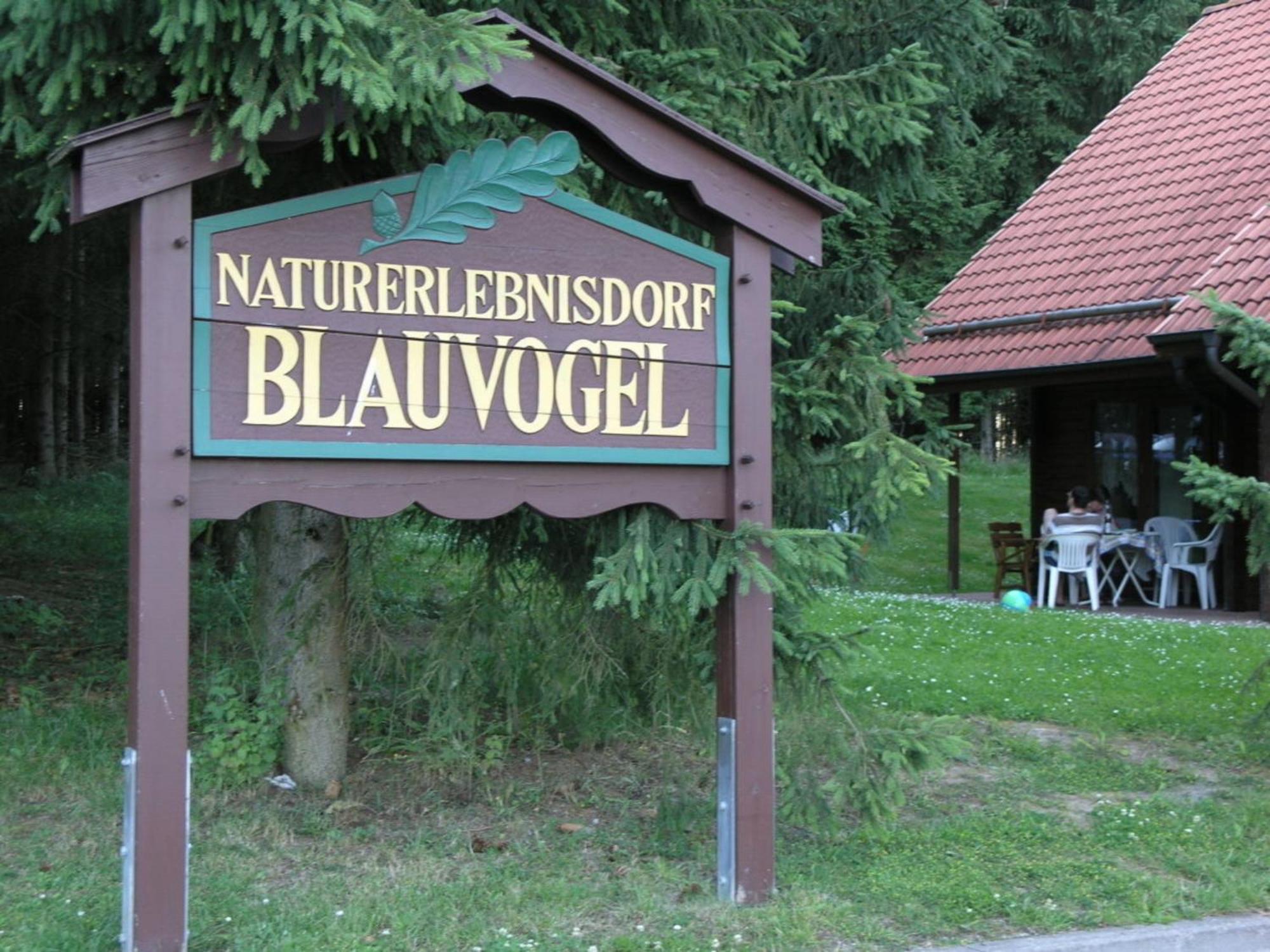 Ferienhaus Nr 32, Typ A, Ferienanlage Blauvogel, Hasselfelde, Harz Exteriör bild